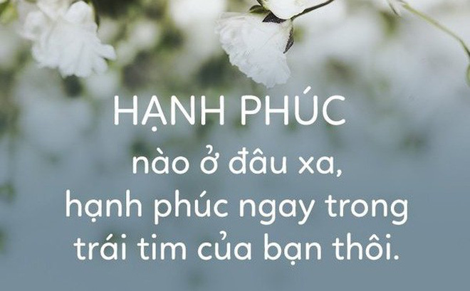 soi cầu HCM