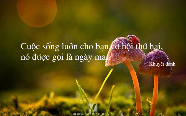 soi cầu Cà Mau