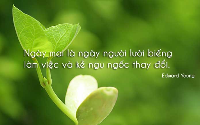 soi cầu Đắc Nông