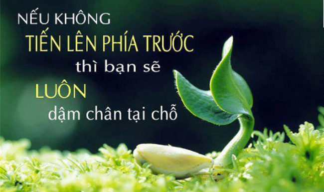 soi cầu Bến Tre