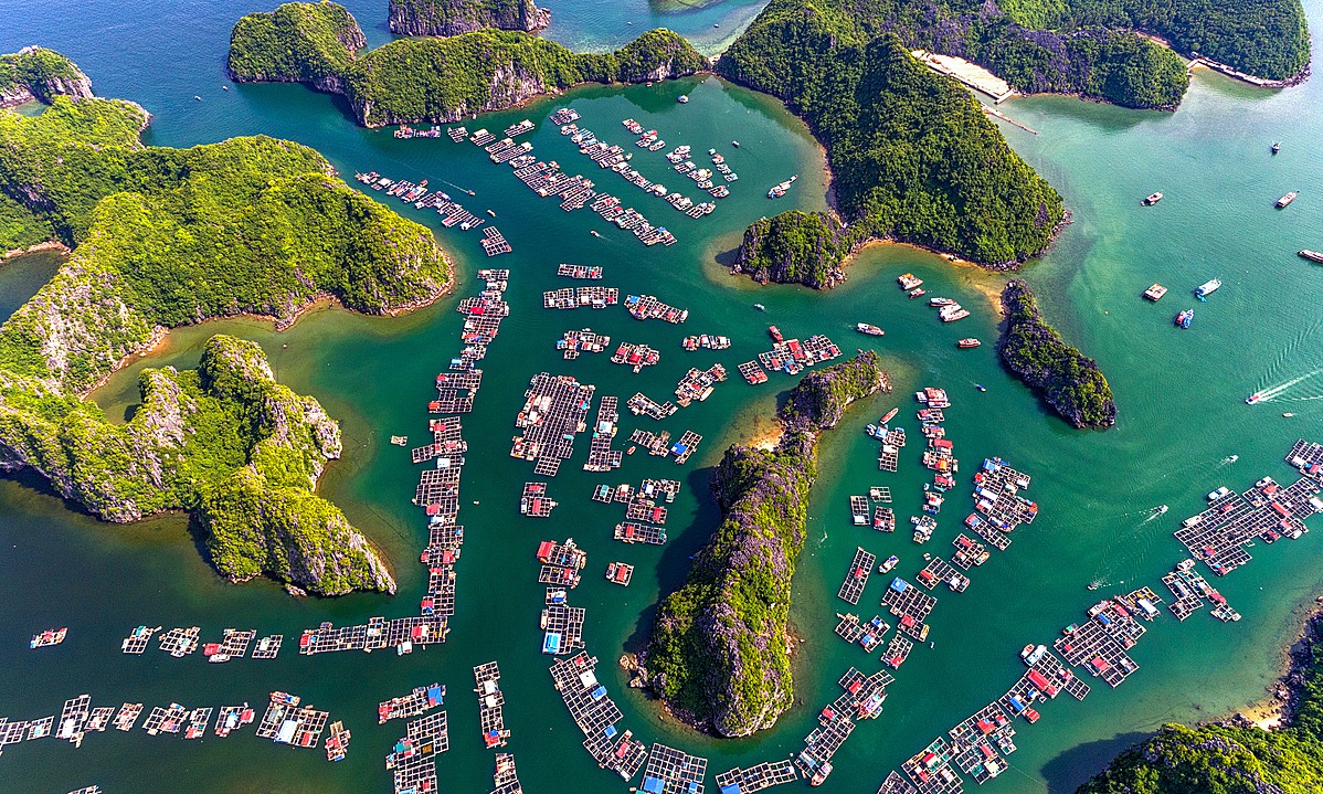 soi cầu Trà Vinh