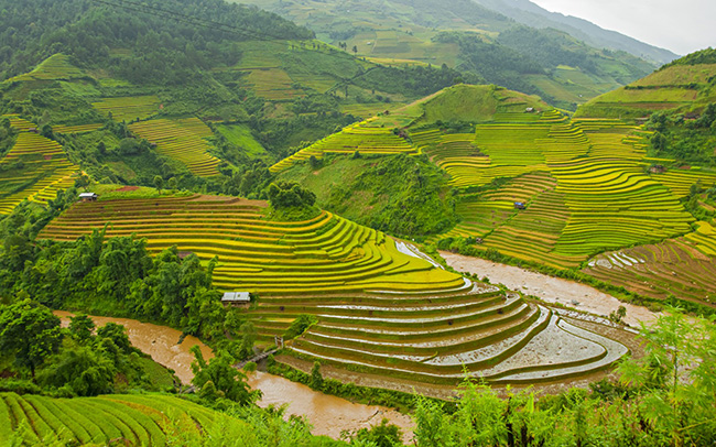 soi cầu Đà Lạt