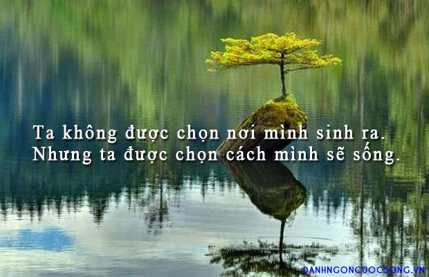 soi cầu Cà Mau