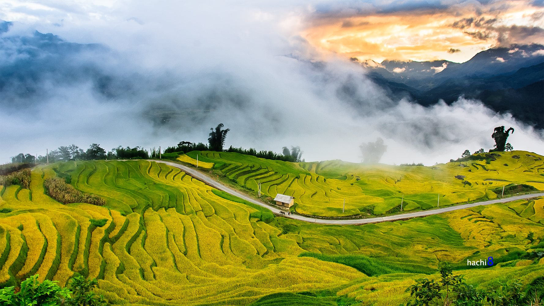 soi cầu Cà Mau