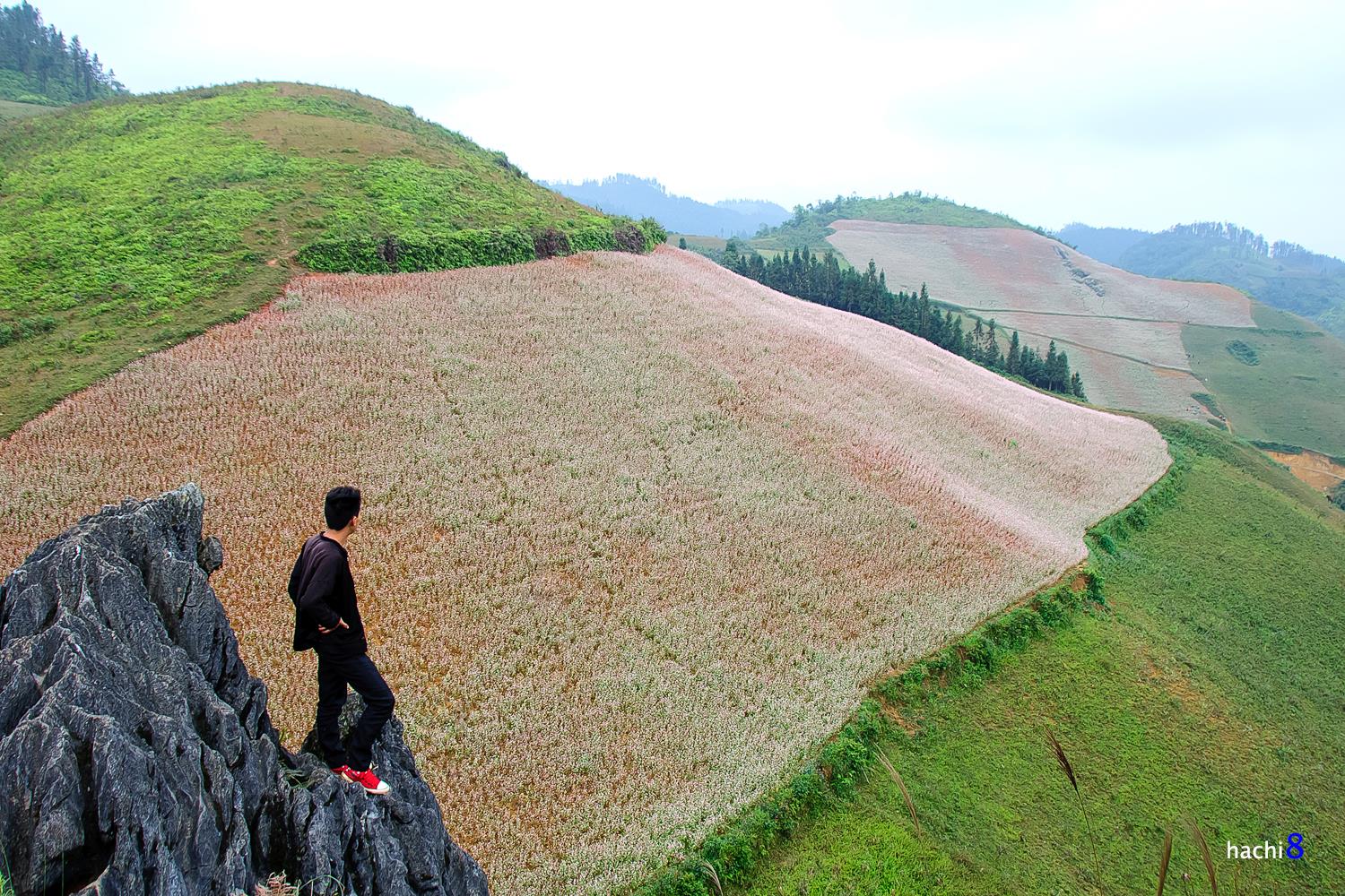 soi cầu An Giang