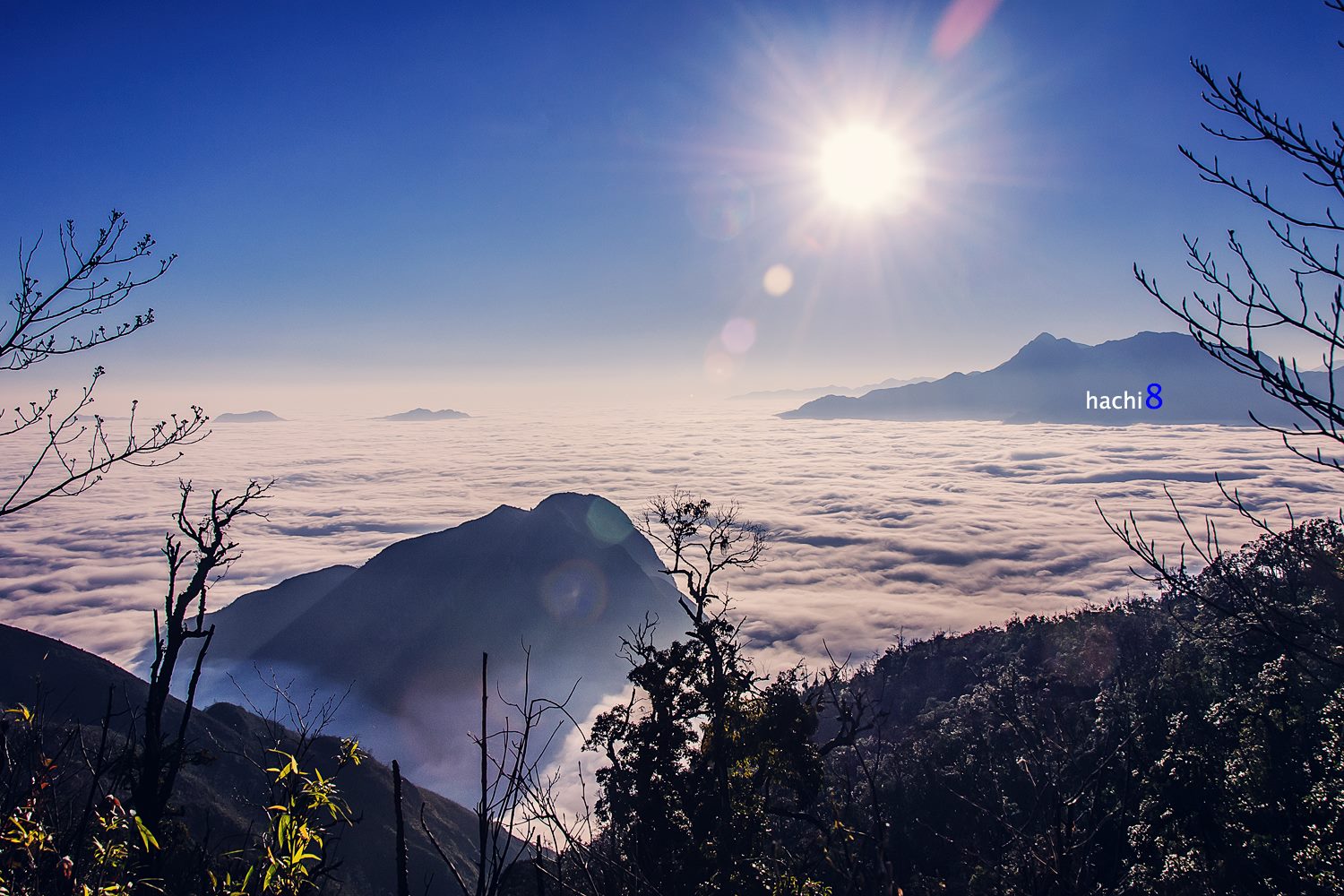 soi cầu Vũng Tàu