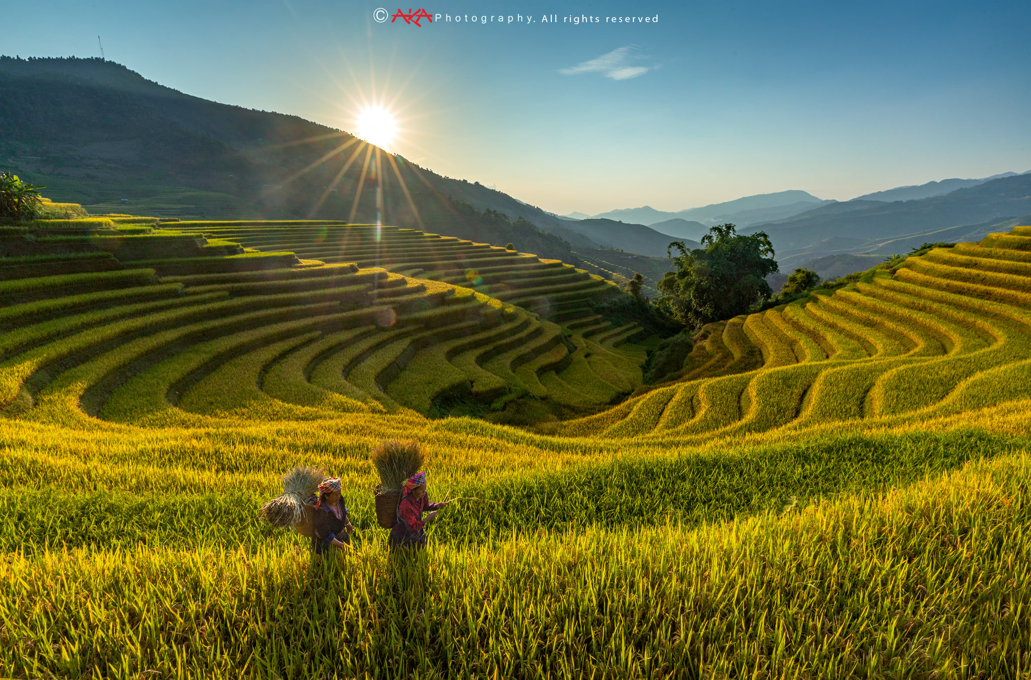 soi cầu Tiền Giang