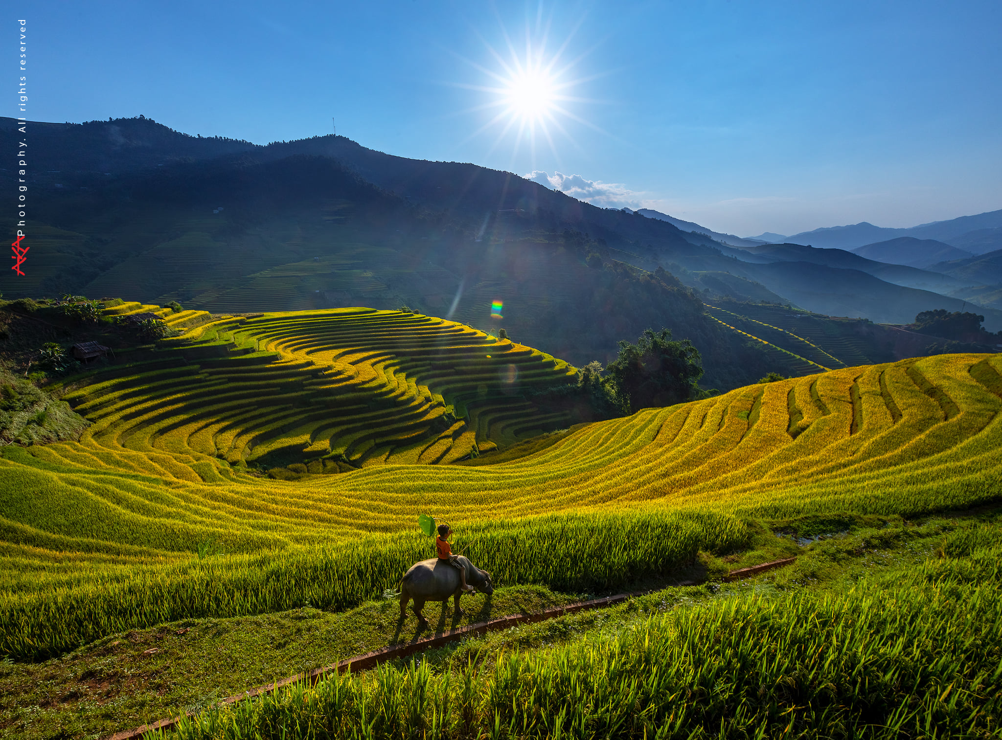 soi cầu Kiên Giang