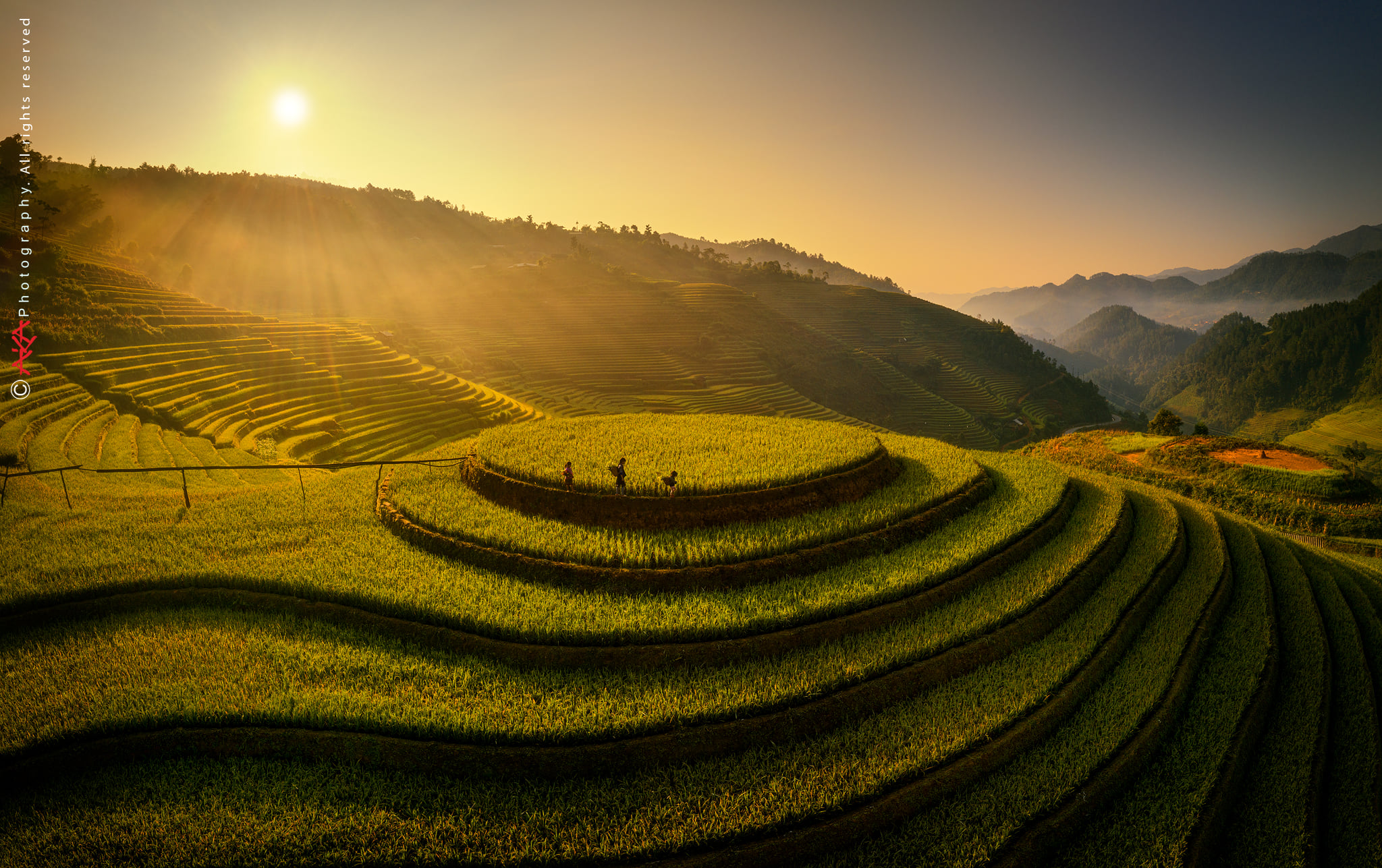 soi cầu Phú Yên