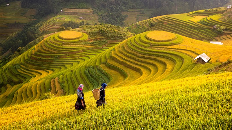 soi cầu An Giang