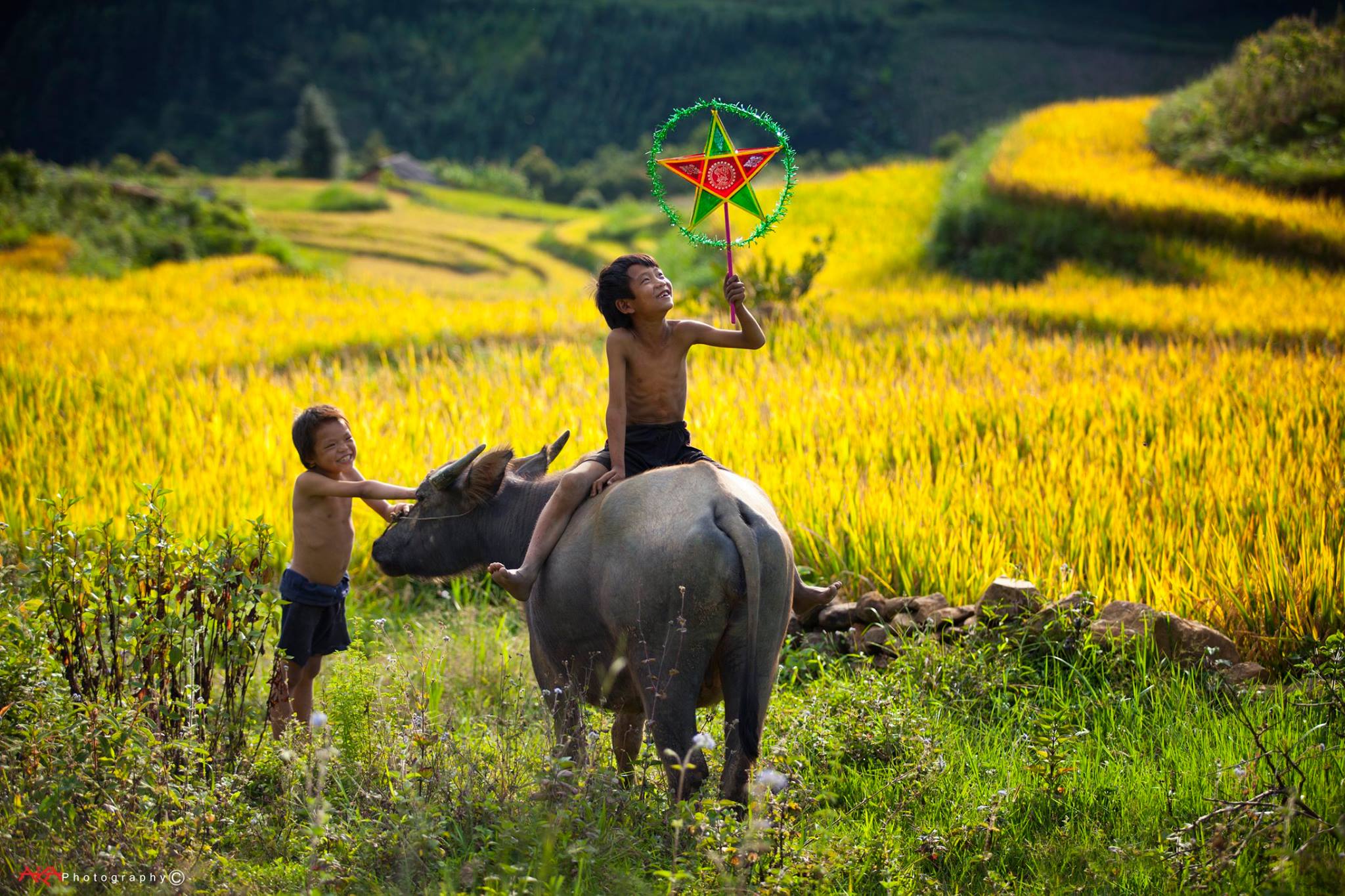 soi cầu Bạc Liêu