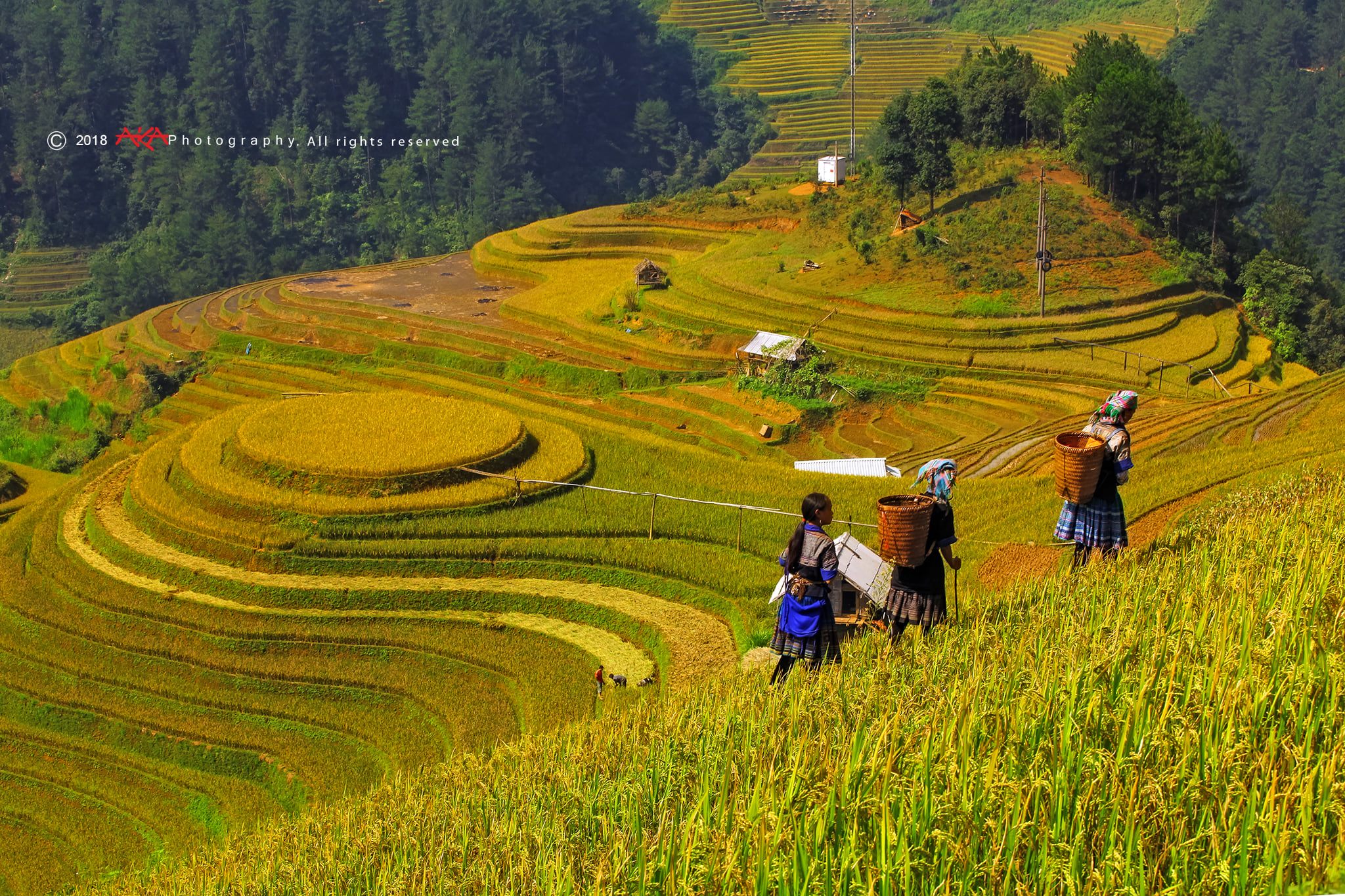 soi cầu Bến Tre