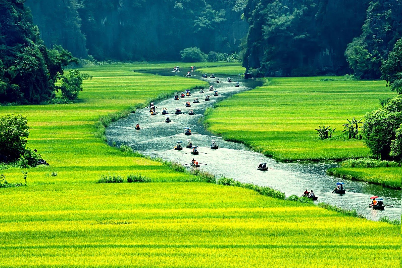 soi cầu Bạc Liêu