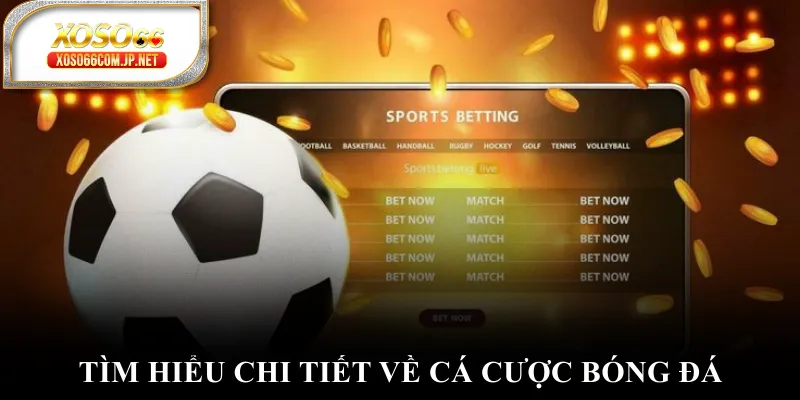 Tìm hiểu chi tiết về cá cược bóng đá Tìm hiểu chi tiết về cá cược bóng đá